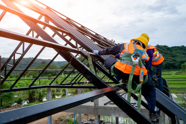 Best Roof Gutter Cleaning  in Grand Ledge, MI
